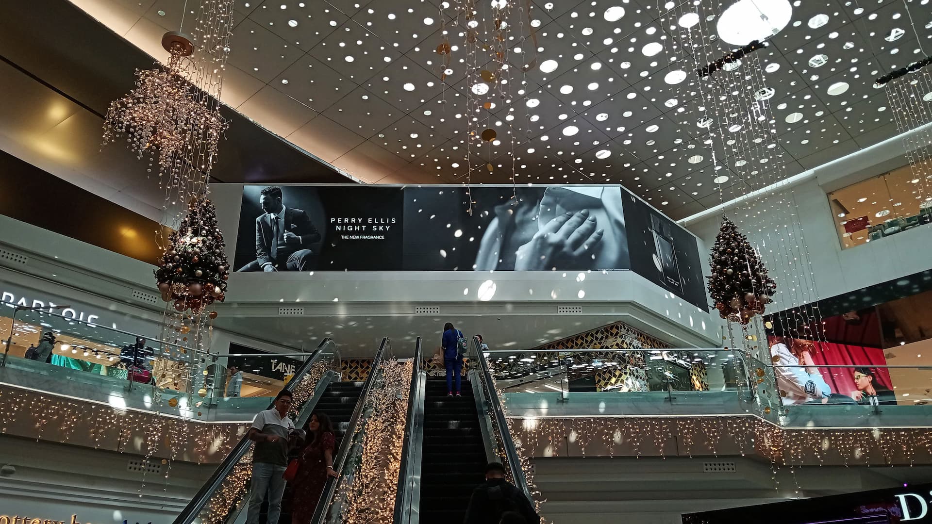 Digital 3D Square Screens